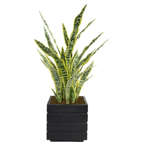 Artificial Faux Real Touch 3.5 Feet Tall Agave With Planter