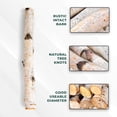 thumbnail image 5 of 17 Inch Natural Birch Logs - Decorative Dried Birch Wood Logs for Fireplace, Wedding Centerpieces - Unfinished Wood DIY Crafts, & Home Décor - Birch Log Bundle for Indoor Display (8 PCS) (1"-2.5", 5 of 8