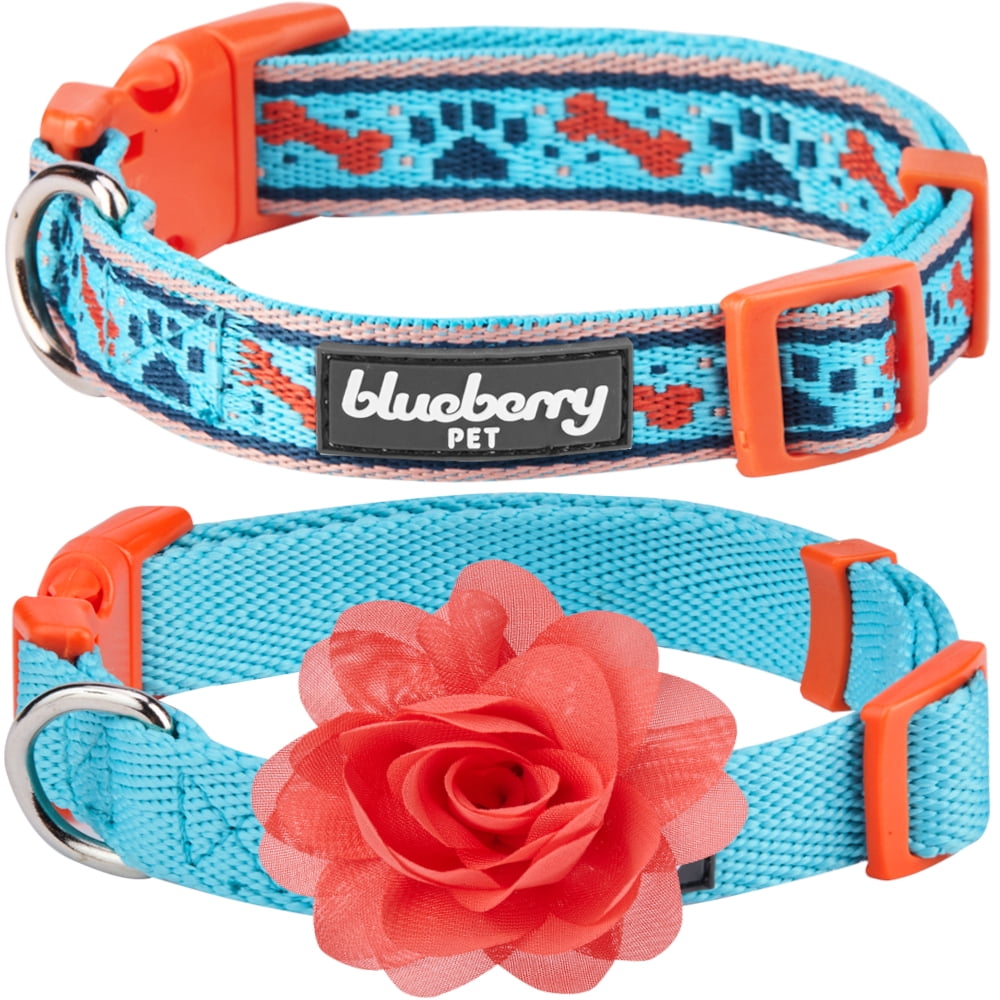 Blueberry Pet Pack of 2 Mix and Match Sky Blue Dog Collar for Puppies