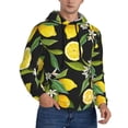 thumbnail image 2 of Kdxio Lemon Fruits Flowers Leaves Print Mens Casual Hooded Collar Drawstring Hoodies Pullover Sweatshirts Casual Long Sleeve Shirts-4X-Large, 2 of 7