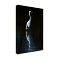 thumbnail image 3 of Trademark Fine Art David Drost Elegant Egret Ii Canvas Wall Art - 16x24, 3 of 5