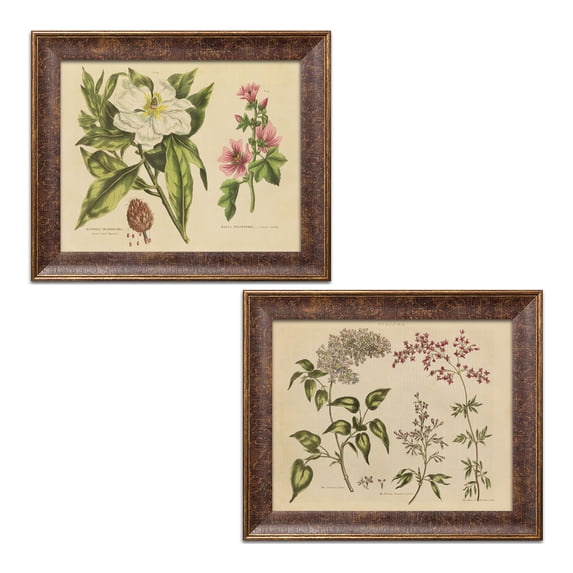Gango Home Decor Vintage Herbal Botanical I & Herbal Botanical II by Wild Apple Portfolio (Ready to Hang); Two 16x12in Gold Trim Framed Prints