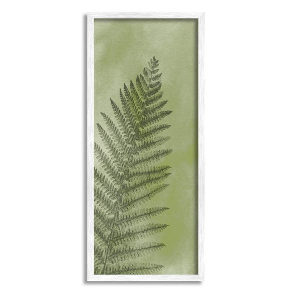 Intricate Fern Sprout Leaf Botanical & Floral Graphic Art White Framed Art Print Wall Art
