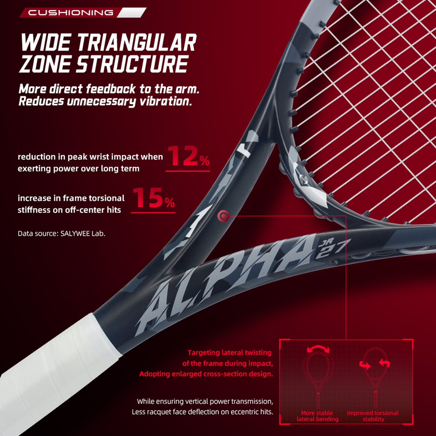 SALYWEE Alpha Control Tennis Racquet, Full Carbon Fiber, 102 sq.in. Head Size, 16x19 Strung, Lightweight 273±7g Unstrung, One-piece Molding for Precision & Power