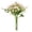 H, variant on BinKFF Natural - Dried - Flowers Brazilian Small Star Daisy Dried Decorative Mini Chamomile Bouquet for Wedding Floral Arrangements Home Decorations Valentine's Day Gifts
