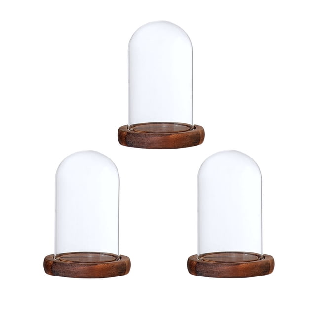 Planta de Terrarios Suculentos de Campana de Campana Decorativa de 3 Piezas