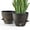 Teal Gold, variant on FIASON 2 Pack Plastic 8 Inch Teal Gold Self Watering Plant Pots,Include Watering Lip,Drainage Holes and Removable Saucer,Flower Pots for Indoor Outdoor Plants
