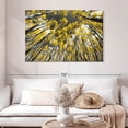 thumbnail image 2 of Elephant Stock Colorado Aspen Trees Wall Art - Horizontal Canvas Wall Art - Living Room Wall Decor - Floral And Botanical Canvas - Black And Gray Decor - 48" x 32", 2 of 8
