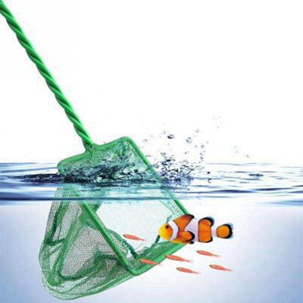Long Handle Stainless Steel Cleaning Tool Gadgets Fish Scoop Floating  Objects Shrimp Catching Catch Net Fish Tank Accessory Fishnet Aquarium  Supplies