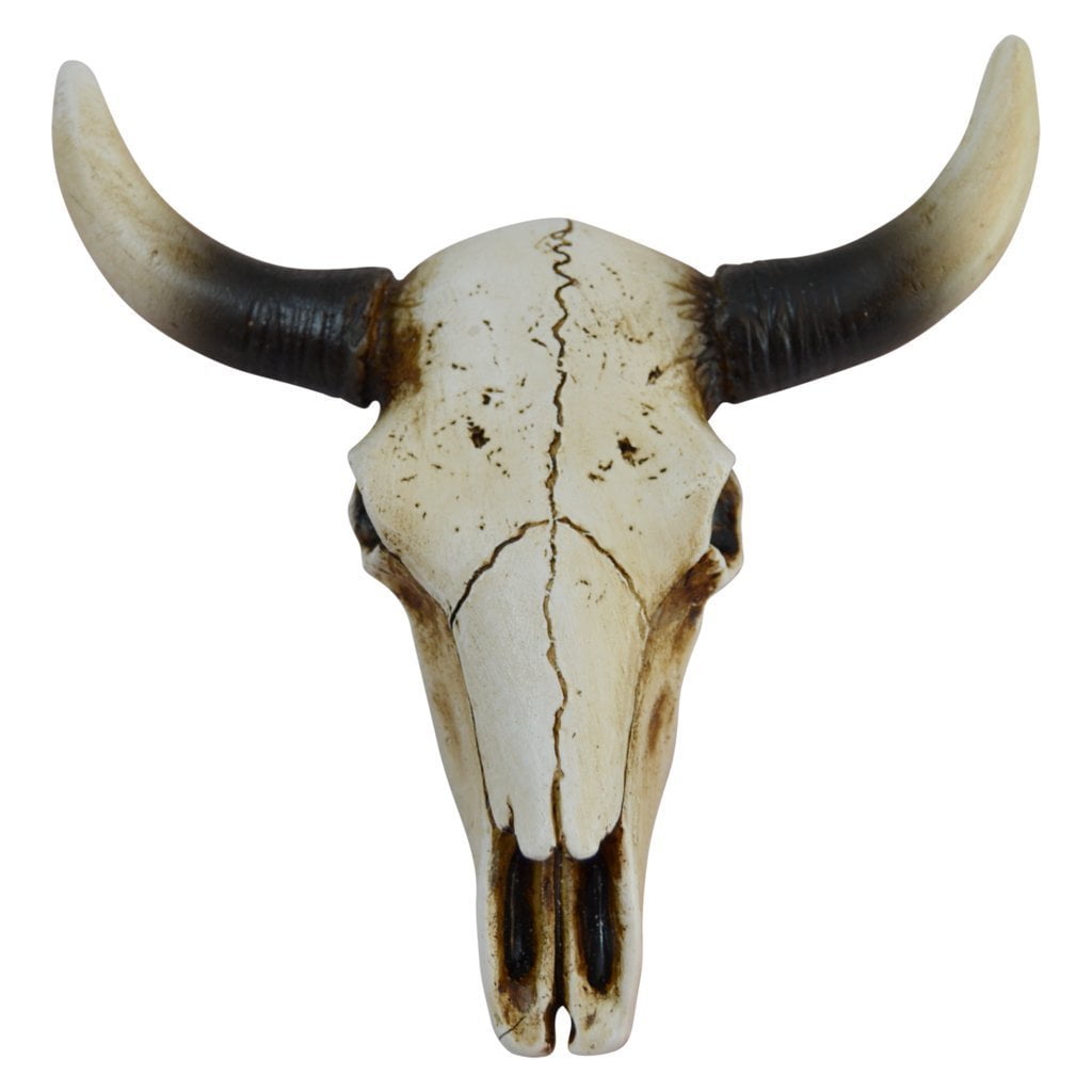 Western Rustic Cow Bull Longhorn Skull Cross & Wire Hanging Wall Sculpture Decor