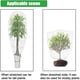 thumbnail image 4 of Billuyoard Bolsa de red Protector de plantas Herramienta de jardinería Saco de malla Barrera de frutas y verduras de larga duración Control de Type7 NO7, 4 of 6