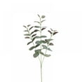 thumbnail image 3 of 5PCS Eucalyptus Leaves Stems Bulk Artificial Silver Dollar Eucalyptus Leaves Picks and Faux Eucalyptus Leaves Branches for Vase Bouquets Floral Arrangement Wreath Rustic Farmhouse Greenery Decoration, 3 of 6