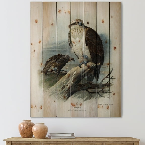 Designart 'Ancient Bird Life VI' Traditional Print on Natural Pine Wood