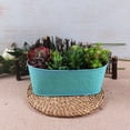 thumbnail image 1 of SPRING PARK Panier de Rangement Ovale en Fer Bleu, 1 of 7