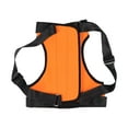 thumbnail image 2 of Dog Lift Harness, Dog Lift Support Harness For Weak Rear Legs Lifting Dog Harness Vest Helps Elderly Dogs With Reduced Mobility Dog Sling For Rear Legs, 2 of 8