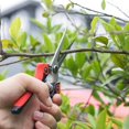 thumbnail image 3 of Heavy Duty Stainless Steel Pruning Scissors Sharp Hand Scissors for Garden Harvest Fruit Vegetable Tools, 3 of 5