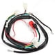 thumbnail image 3 of Arnés de cableado para arranque de motor eléctrico para motos, quads, ATV, 70 cc, 90 cc, 110 cc y 125 cc., 3 of 14