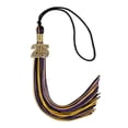 thumbnail image 3 of Endea Graduation Black/Purple/Gold Mixed Color Graduation Tassel with Gold Date Drop, 3 of 11