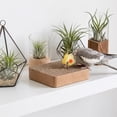 thumbnail image 6 of 1PCS Bird Cardboard Platform Hanging Parrot Cage Perch Bird Paw Grinding Stand Parakeet Chew Toys Parrot Cage Playground for Budgie Conure Cockatiel Finch (Medium), 6 of 6