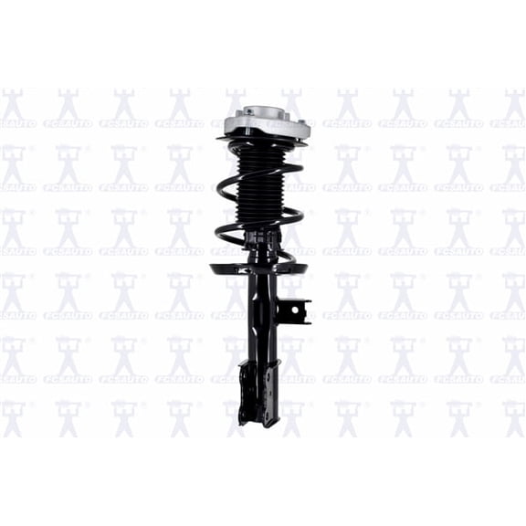 Suspension Strut and Coil Spring Assembly