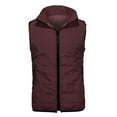 thumbnail image 3 of hgsbede Men's Autumn Winter Zipper Fashion Pure Color Waistcoat Vest Top Coat, 3 of 6