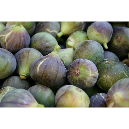 Canvas Print Purple Healthy Figs Fresh Farmers Market Food Stretched Canvas 10 x (Best Farmers Market In New Jersey)