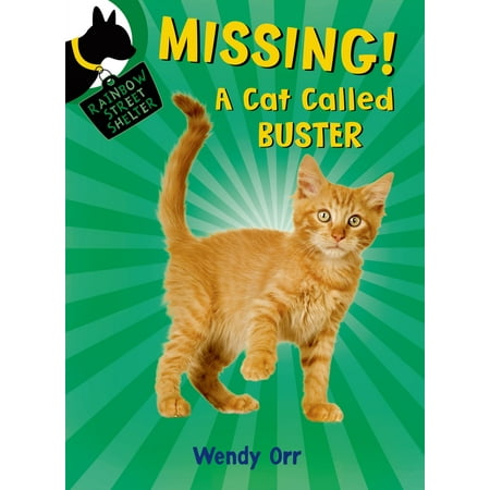 MISSING! A Cat Called Buster (Best Way To Find A Missing Cat)