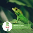 thumbnail image 2 of MasteelfCA Pet Leash Set Lizard Cool Leather Wings Adorable Bearded Dragon Costume Decor, 2 of 7