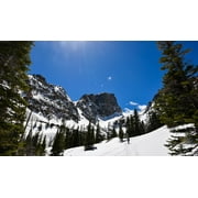 Peel-n-Stick Poster of Conifer Daylight Evergreen Cold Frozen Alpine Poster 24x16 Adhesive Sticker Poster Print