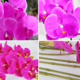 thumbnail image 6 of Silk Artificial Phalaenopsis Flowers Artificial Orchid Flowers Branches 8 Large Blooms 30 Inches Stem Plants for Home Wedding Garden Decoration, 6 of 6