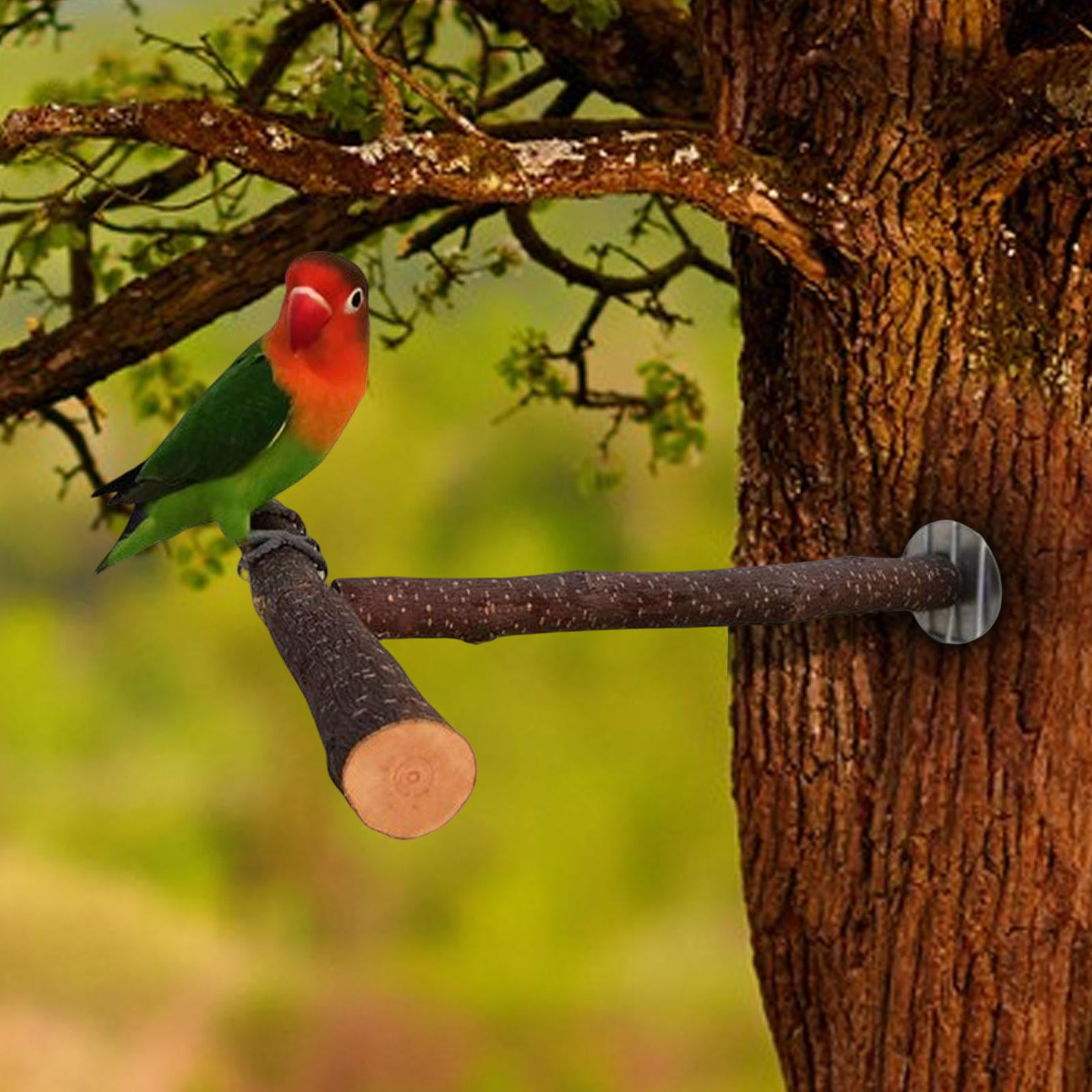 balikha Parrot Perch, Bird Stand Wooden Parrot Perch Stand, Interactive Toy Cage Accessories, Bird Cage Perch for Cockatiel Finch Canaries Pet Supplies 30cmx30cmx2.5cm