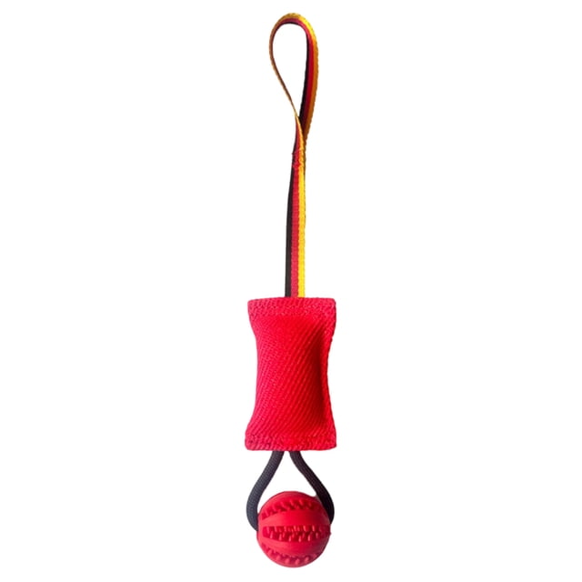 Arnés de entrenamiento interactivo de fibra de alta densidad para masticar, con doble costura y correa larga de tela pura, adecuado para uso moderado