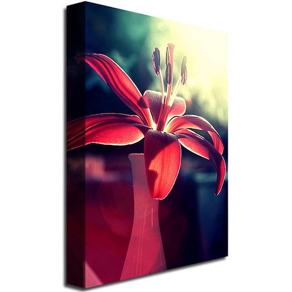 Trademark Fine Art Young 'Lady in Red' Canvas Art by Beata Czyzowska