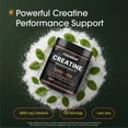 thumbnail image 3 of NatureBell Creatine Monohydrate Powder - 500g - Micronized Powder - Delivers 5,000mg Creatine Per Serving - Pre-Workout or Post-Workout Support - Vegan & Keto Friendly - Unflavored - 100 Servings, 3 of 8