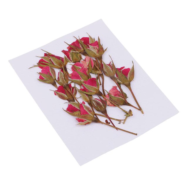Paquete de 20 Bolsas de Flores de Rosas, Natural, Hojas Secas de Flores Secas Reales para Manualidades, Manualidades, Resina Líquida, Marcadore perfecl Flores secas prensadas naturales