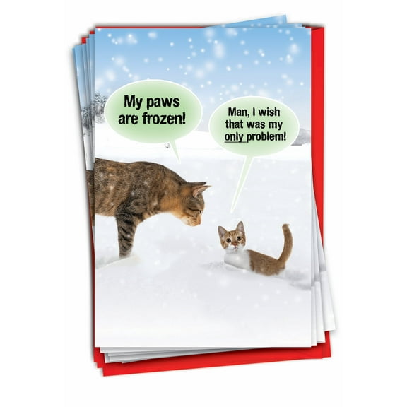 NobleWorks, Cat Paws Are Frozen - 12 Funny Christmas Cards Boxed - Bulk Set, C7831XSG-B12x1