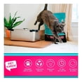 thumbnail image 3 of Arena para Gato ¡Hey Karen! Premium Total Control 5 kg, 3 of 4