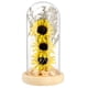 thumbnail image 1 of Girasoles encantados de OSALADI con luces de hadas en cúpula de cristal para decoración de interiores, festivales y fiestas (amarillo), 1 of 7
