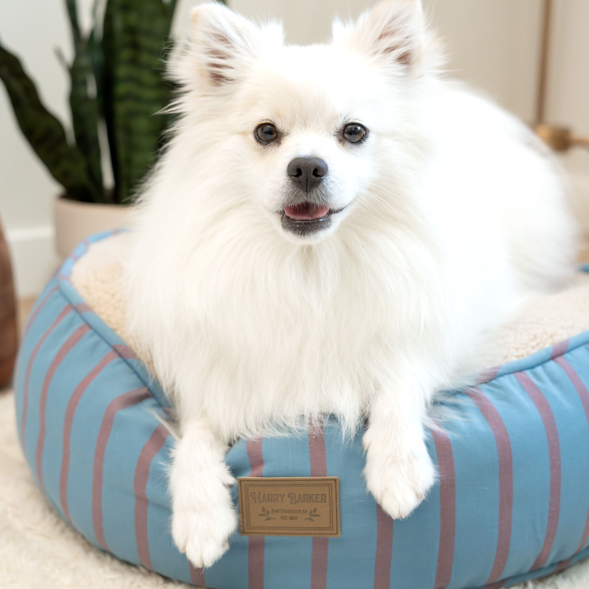Harry Barker Blue Stripped Sherpa Pouf Bed, One Size