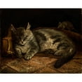thumbnail image 3 of Adolf Von Becker 24x20 Black Modern Framed Museum Art Print Titled - Sleeping Grey Cat and a Rat (1864), 3 of 5
