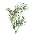 thumbnail image 1 of Ramas de olivo artificiales Plantas artificiales Vegetación Centros de mesa realistas Ramas de olivo altas Tallos para patio interior Patio de mesa de 2 ramas grandes SM SunniMix ramas de olivo falsas, 1 of 8