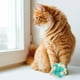 thumbnail image 4 of KAKOWELY juguetes para gatos, pelotas de peluche suaves y coloridas, pelotas interactivas para gatos., 4 of 5