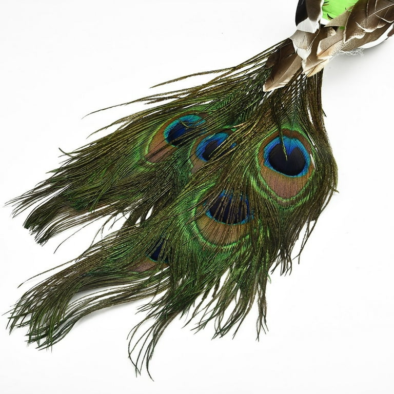 Peacock Feather Ornament –
