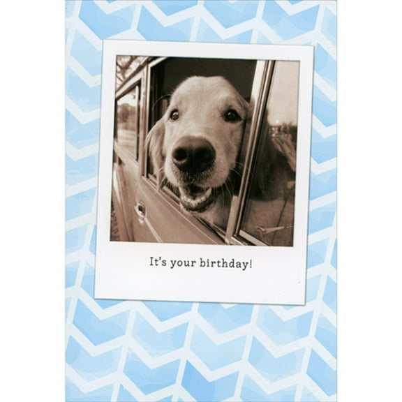 Pictura Lab Dog Looking Out Car Window in Instant Camera Photo Frame Birthday Card