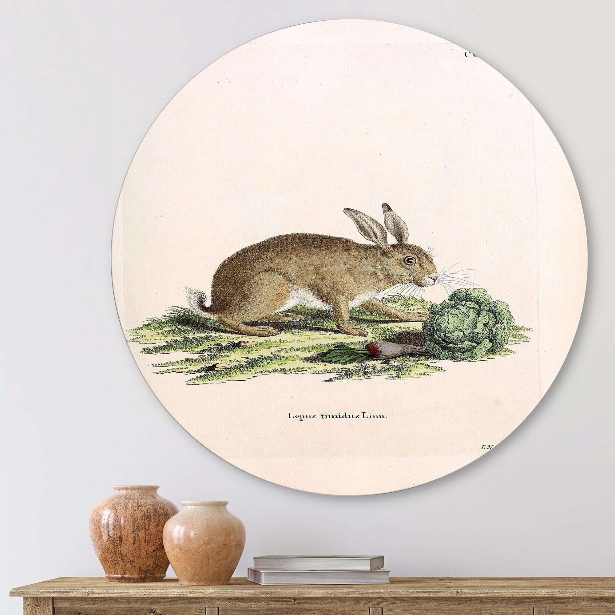Designart 'Ancient Rabbits In Earth Tones' Farmhouse Circle Metal Wall Art 23x23 - Disc of 23