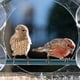 thumbnail image 5 of Comedero para Pájaros, Comedero para Pájaros con Ventana Transparente de Acrílico, Bandeja para Jardín y Comedero para Mascotas, 5 of 5