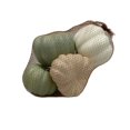 thumbnail image 4 of Way to Celebrate Green\Cream|\Tan Bagged Mini Pumpkin 5pc, 4 of 5