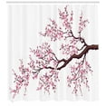 thumbnail image 3 of Ambesonne Japanese Shower Curtain, Sakura Branch Blossoms, 69"Wx70"L, Pink Dark Brown, 3 of 3