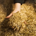thumbnail image 2 of EquineStraw - Literie Cheval en Paille de Blé de Qualité Supérieure, 3 Pi3, 2 of 7