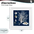 thumbnail image 4 of Stupell Industries Coastal Coral Medley on Navy White Framed Print Under Glass, 16 x 16, by Lanie Loreth, 4 of 8